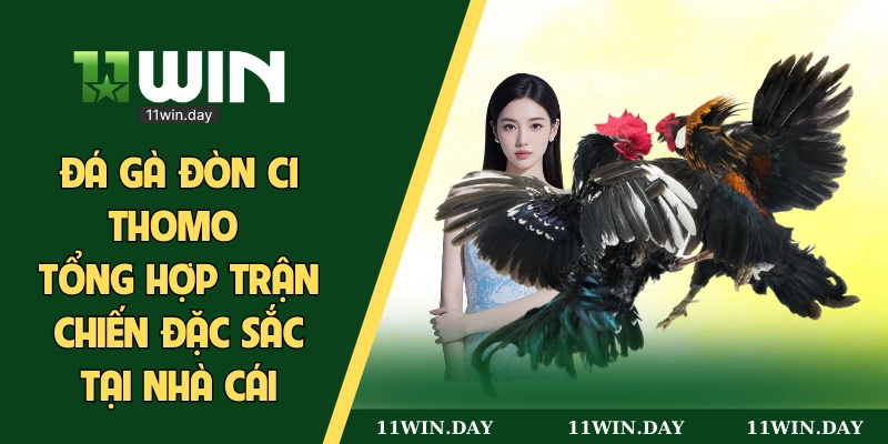 Đá gà trực tuyến cựa dao