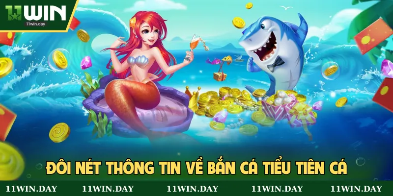 Đôi nét thông tin về bắn cá tiểu tiên cá