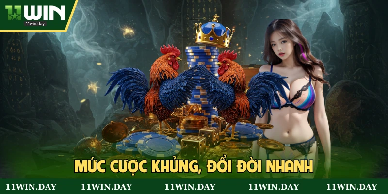 Giá trị cược cao, thu lời xanh chín
