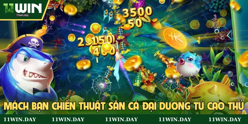 Mách bạn chiến thuật săn cá đại dương từ cao thủ