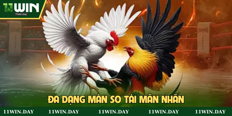 Phong  phú màn so tài đẳng cấp