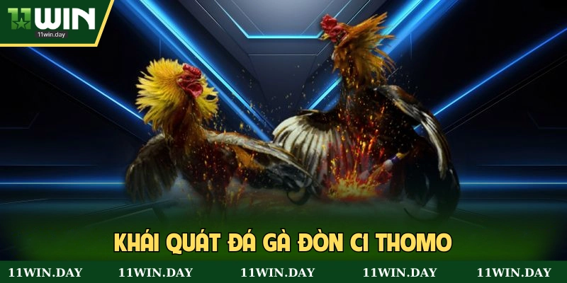 Sơ lược đá gà đòn C1 Thomo