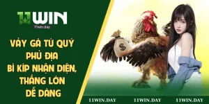 vảy gà án thiên