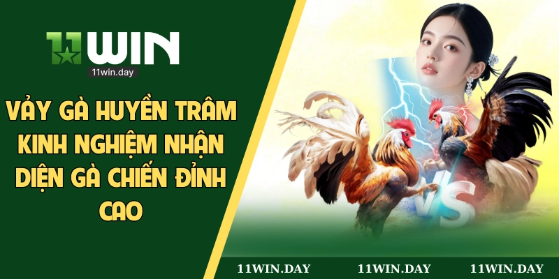 vảy gà huyền trâm