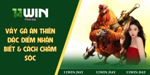 Vảy gà tứ quý phủ địa